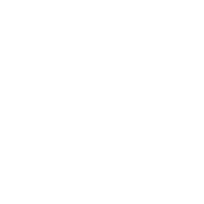 blossom3 logo blossom3 logo